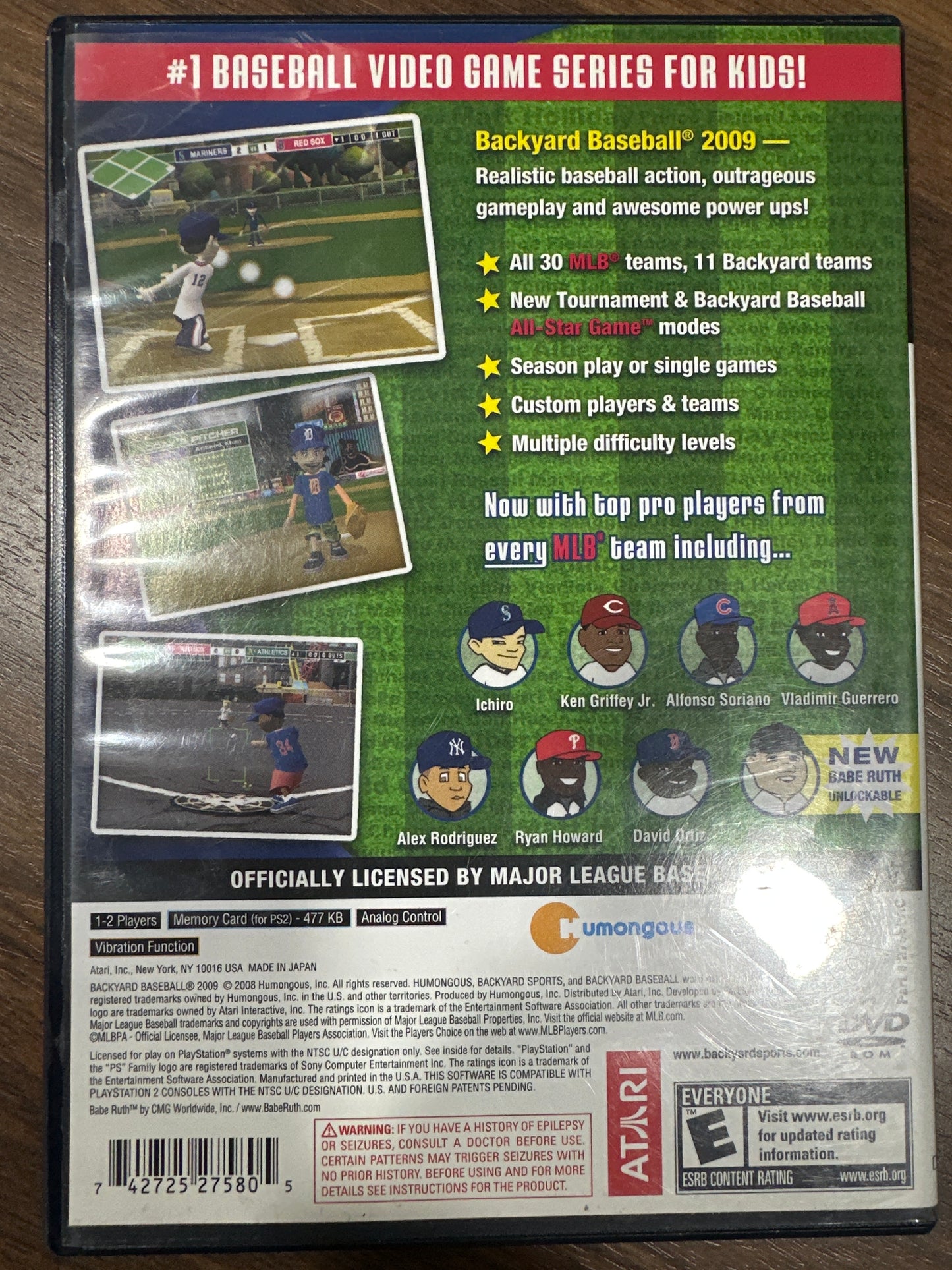 Backyard Baseball 09