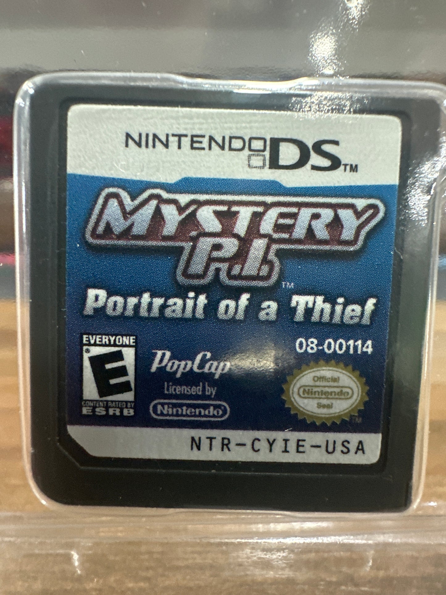 Mystery PI Portrait of a Thief DS