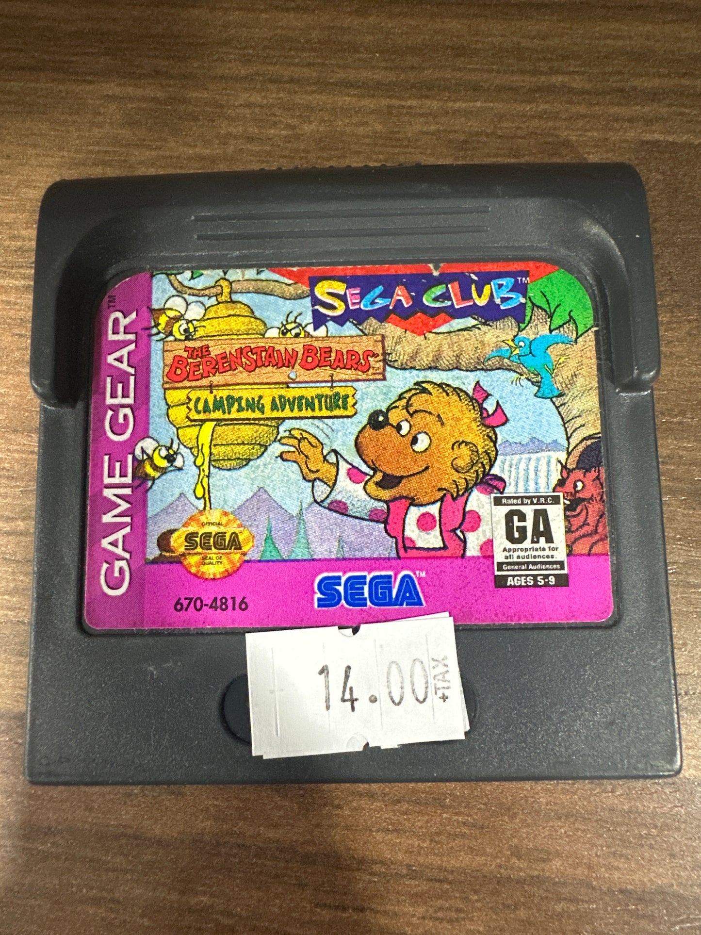 The Berenstain Bears Camping Adventures