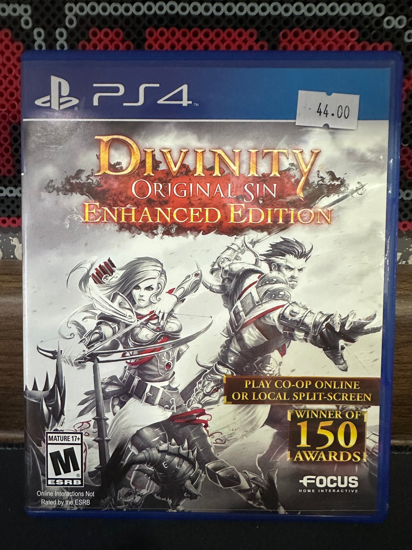 Divinity Original Sin Enhanced Edition
