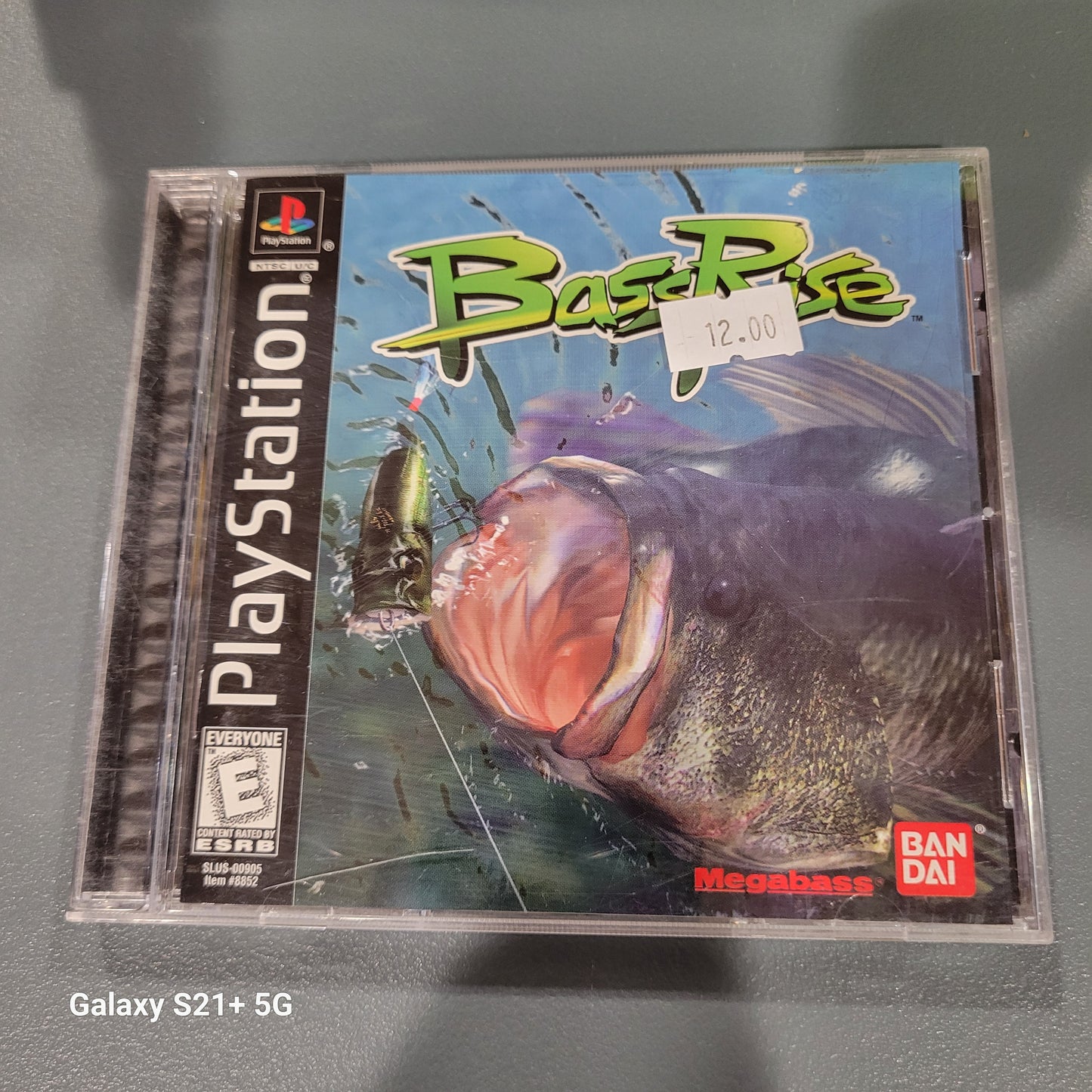 Bass Rise