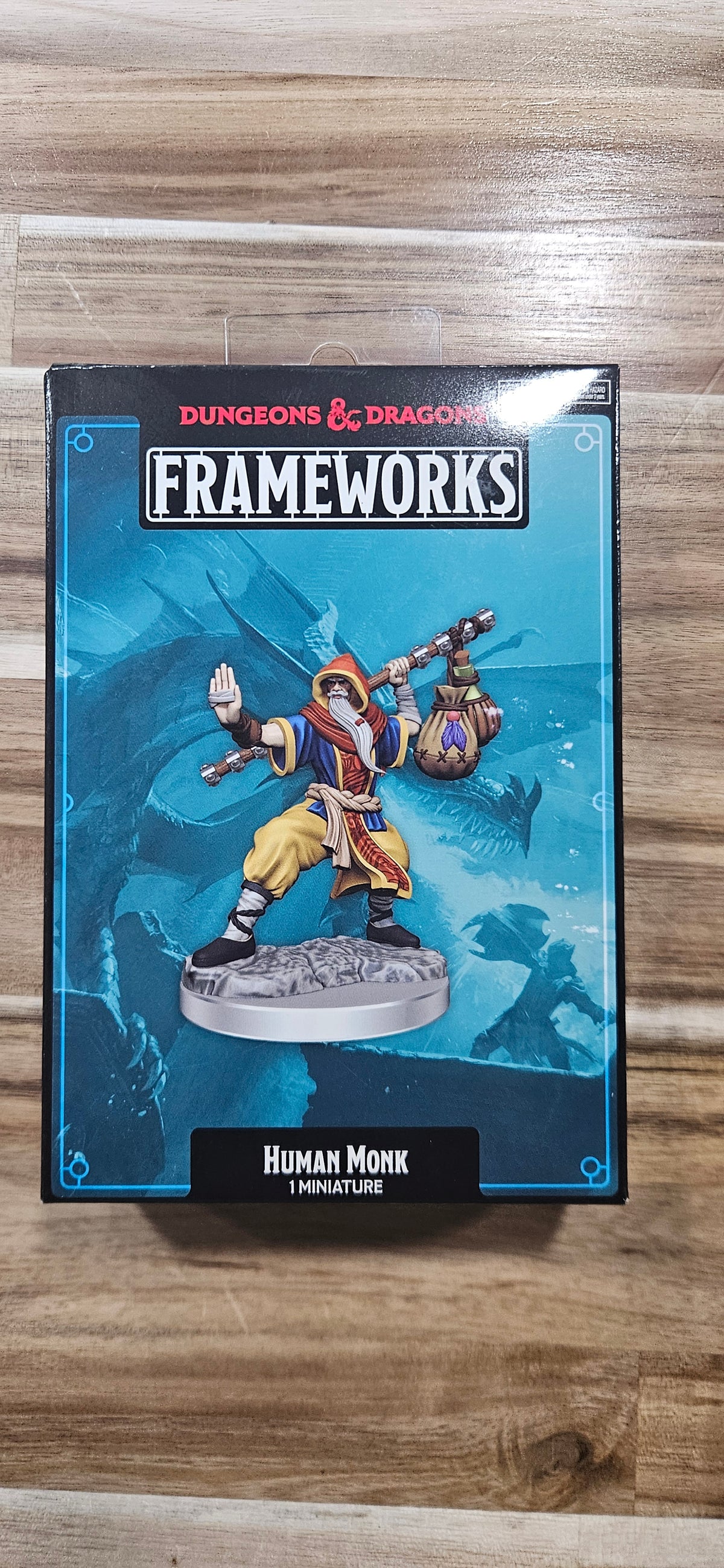 D&D Human Monk Mini