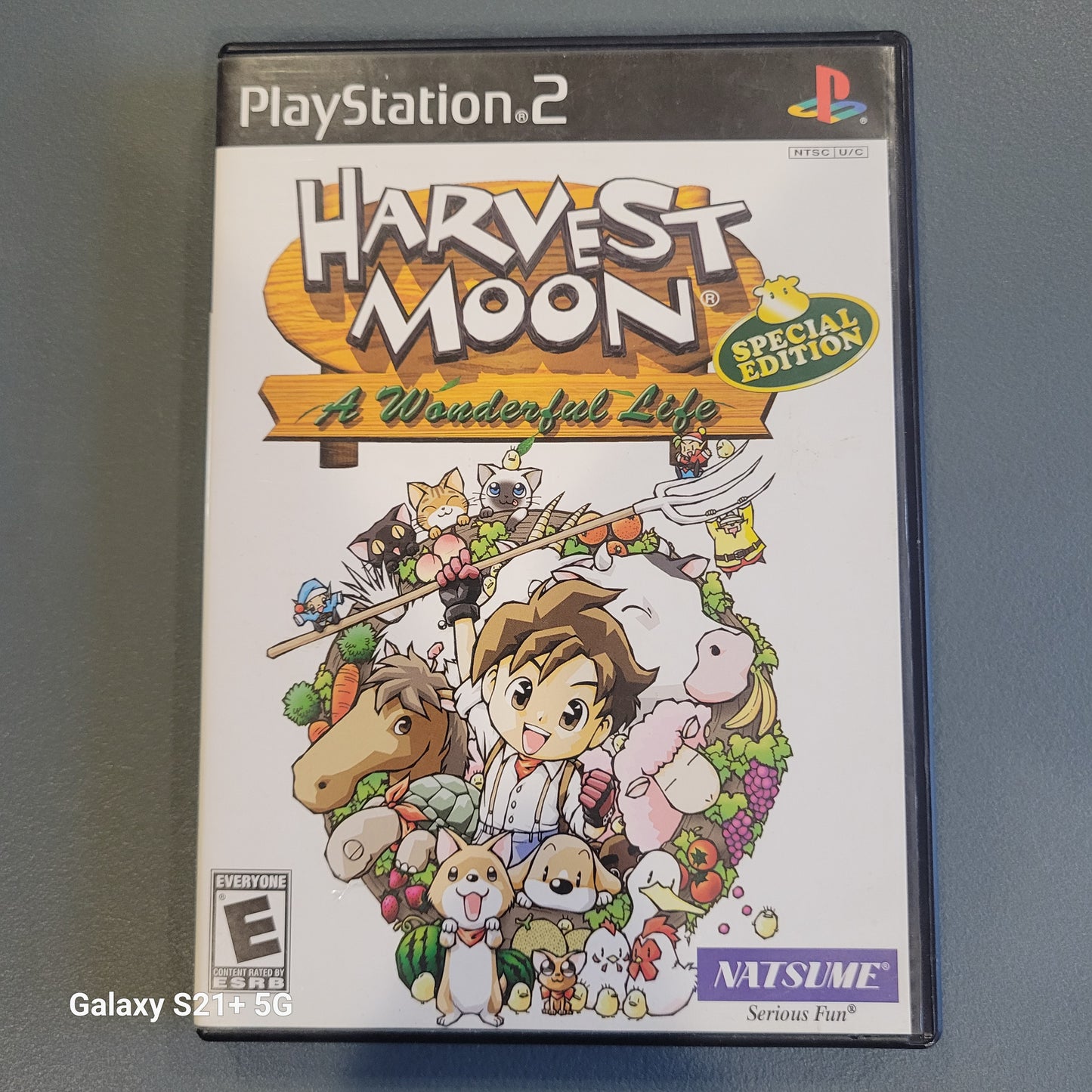 Harvest Moon A Wonderful Life Special Edition