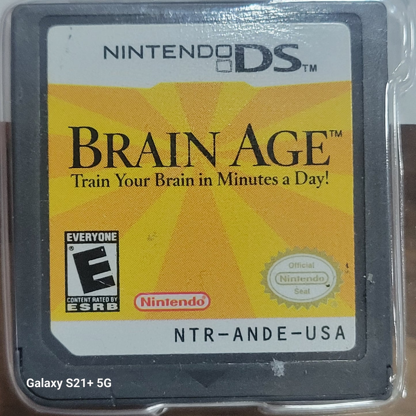Brain Age