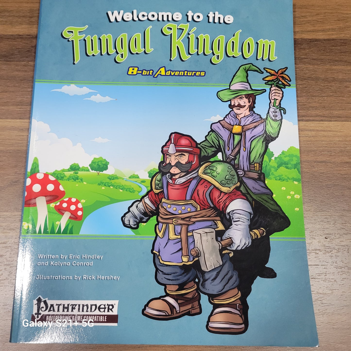 Welcome to the Kingdom  8-bit Adventure