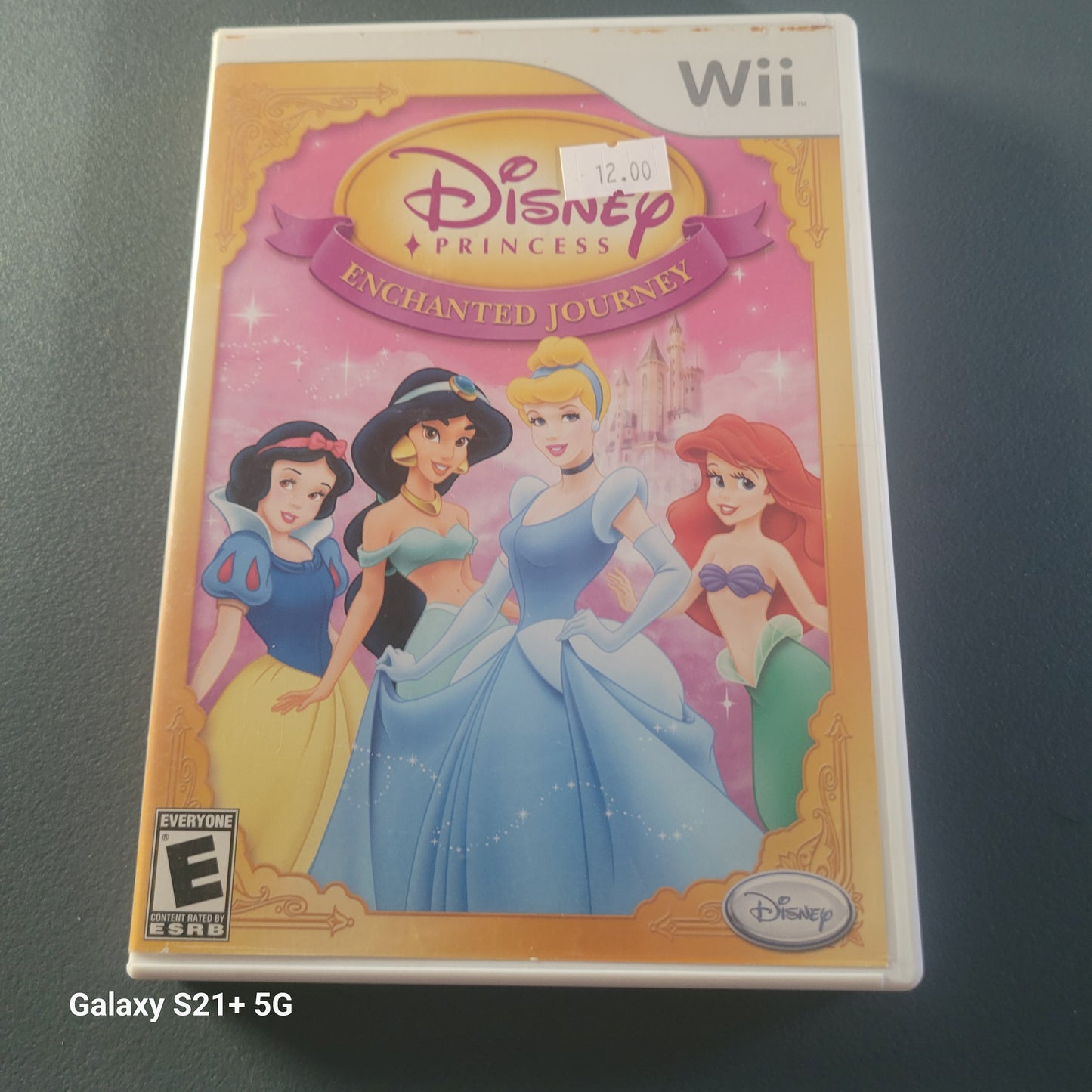 Disney Princess Enchanted Journey Wii