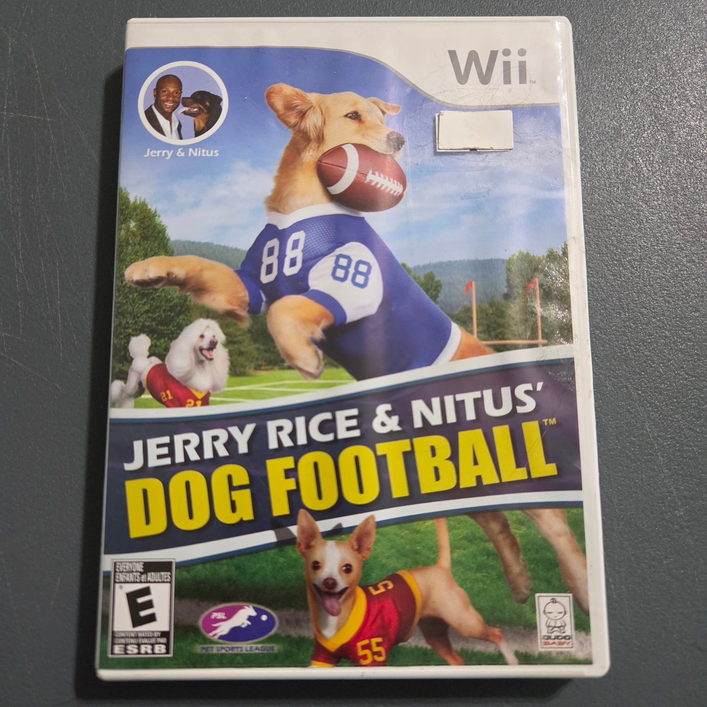 Jerry Rice &Nitus' Dog Football