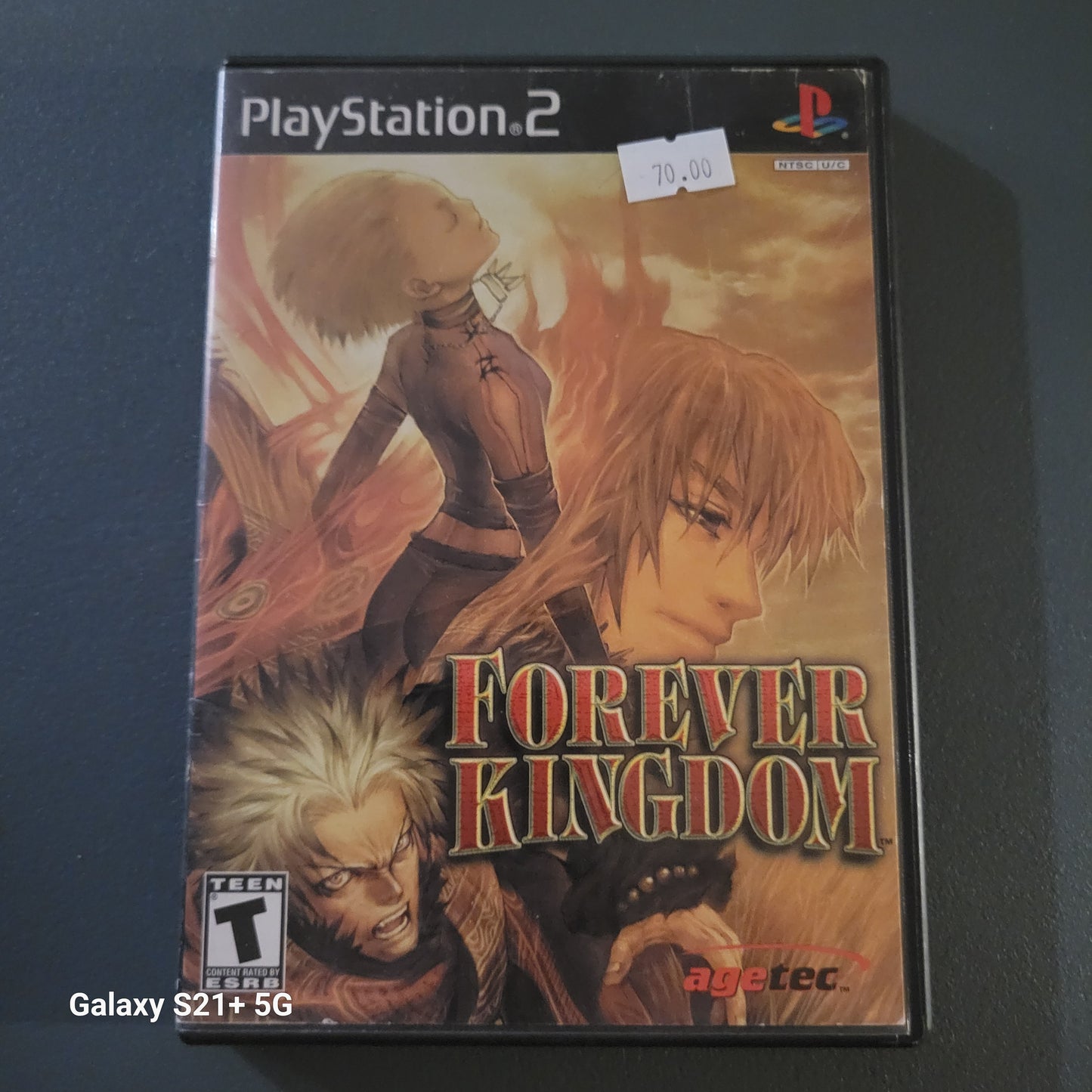 Forever Kingdom (no manual)