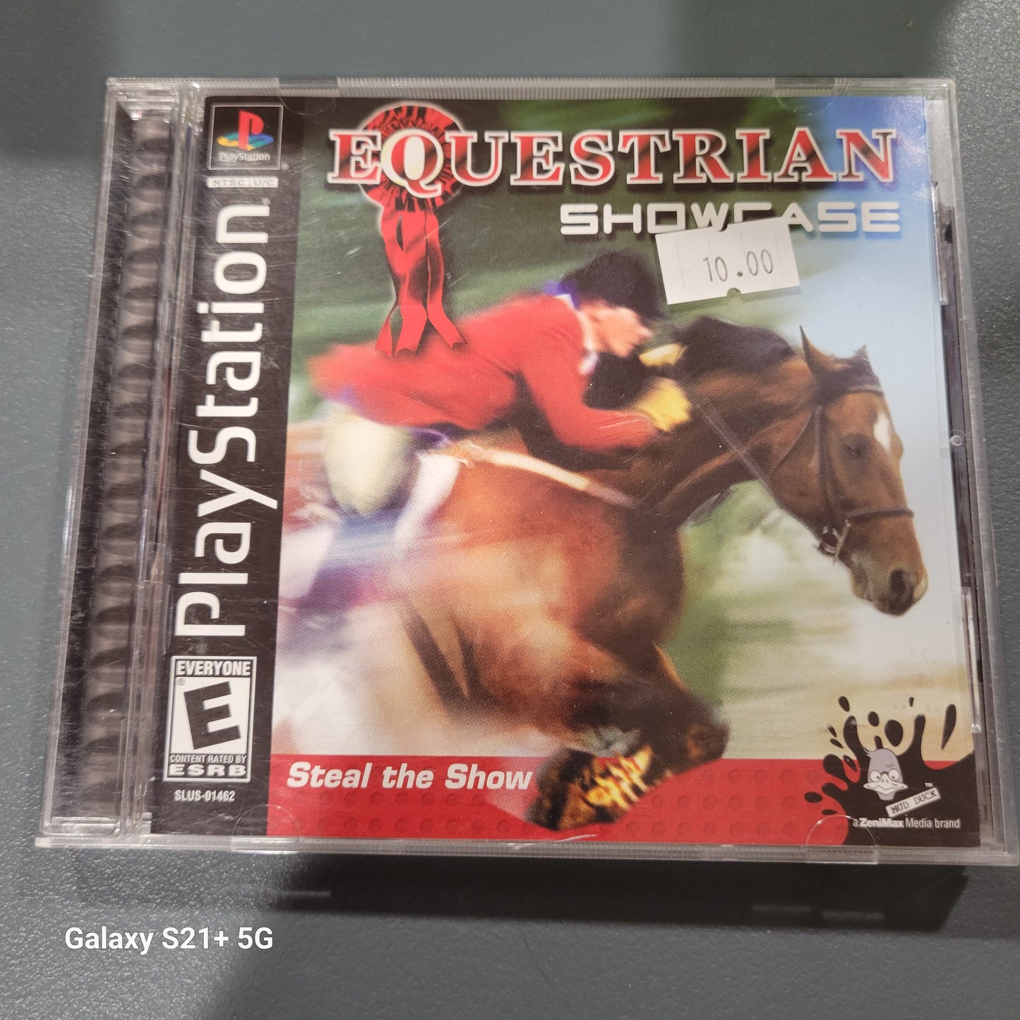 Equestrian showcase