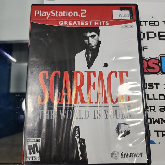 Scarface the world is yours