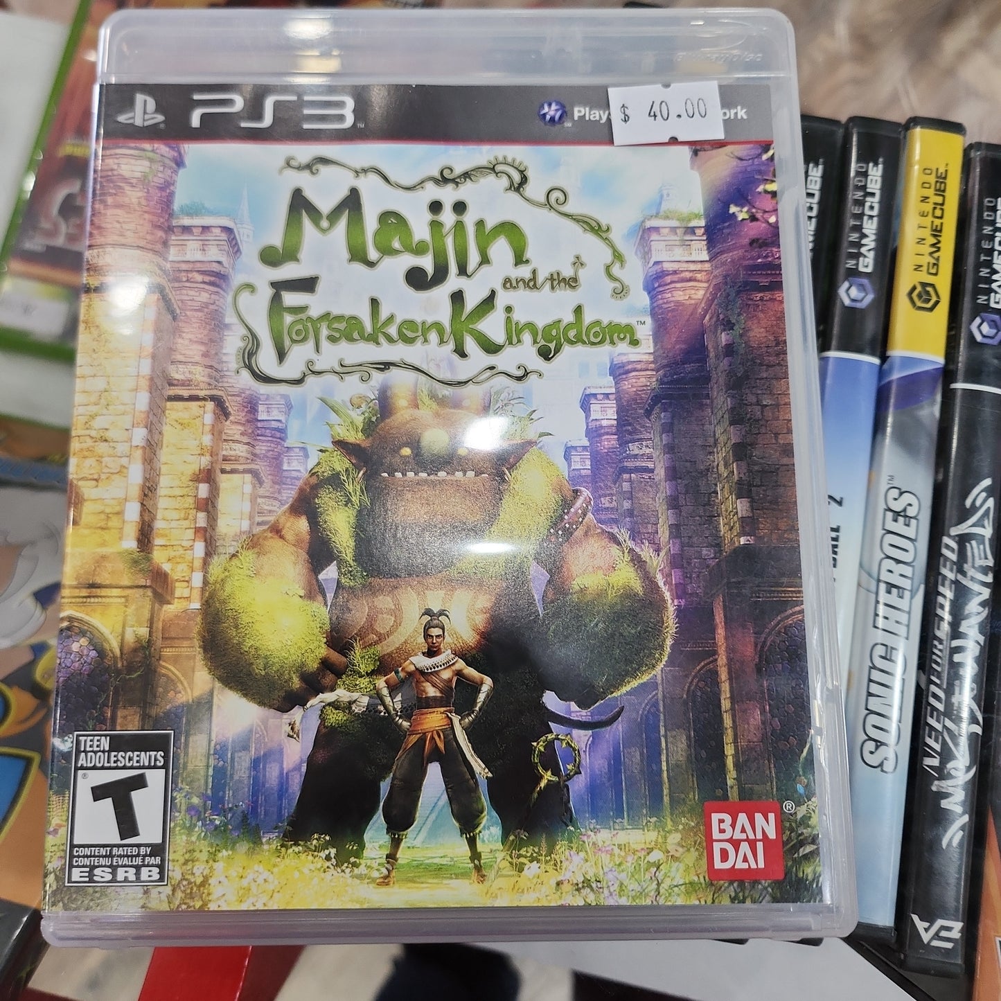 Majin and the forsakenkingdom