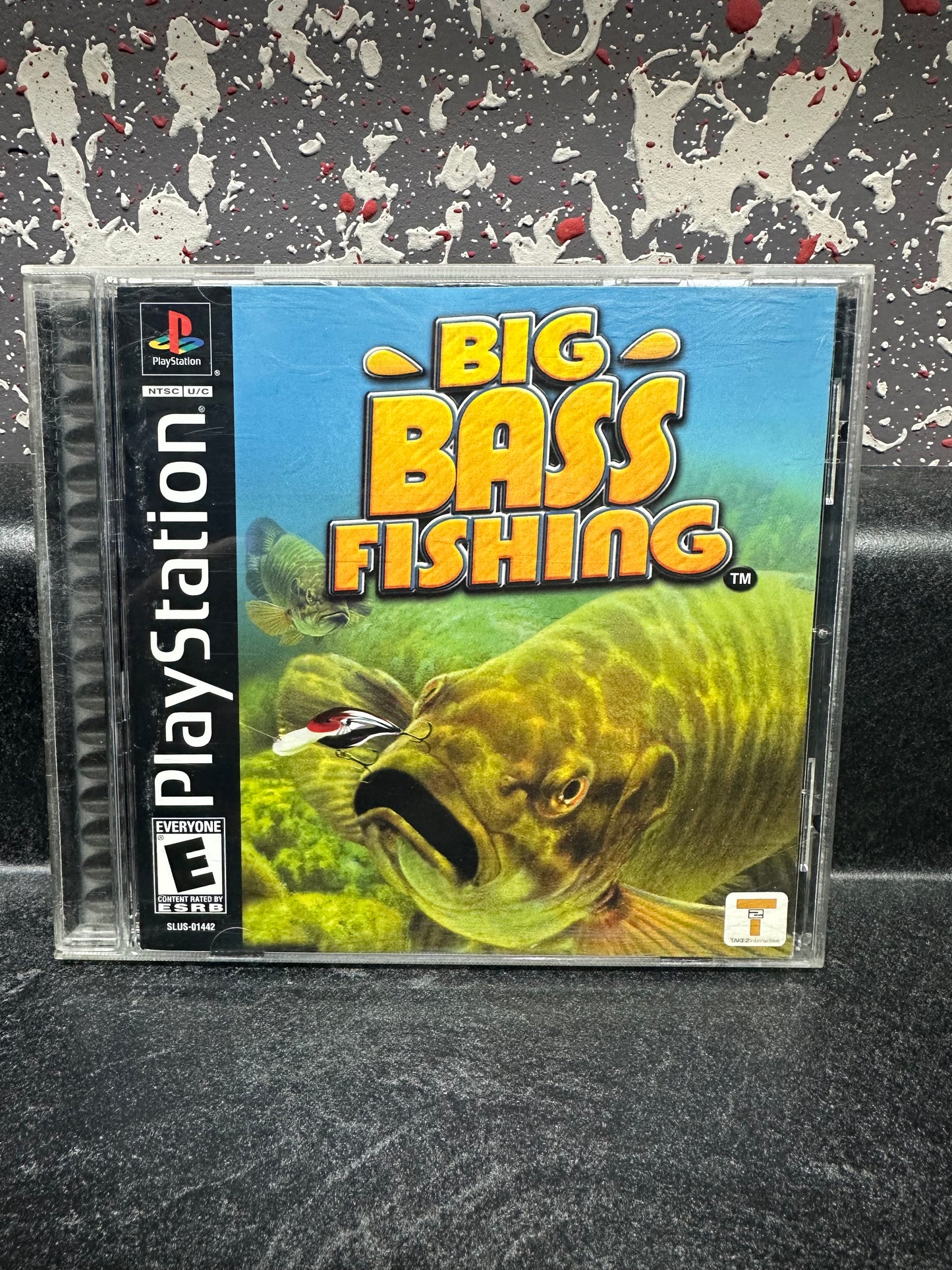 Big Bass Fishing