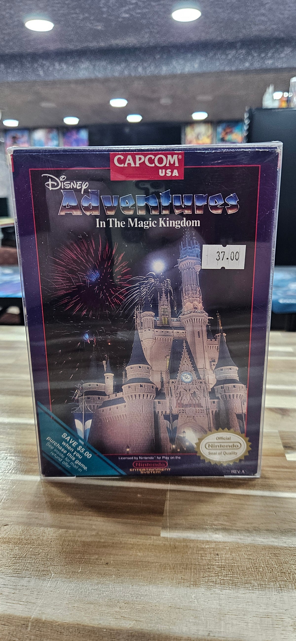 Disney Adventure in the Magic Kingdom