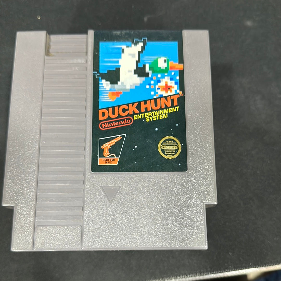 Duck hunt