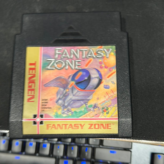 Fantasy zone