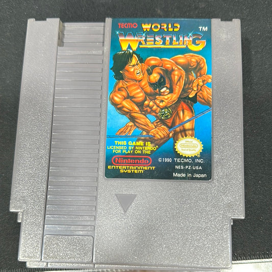 Tecmo world wrestling