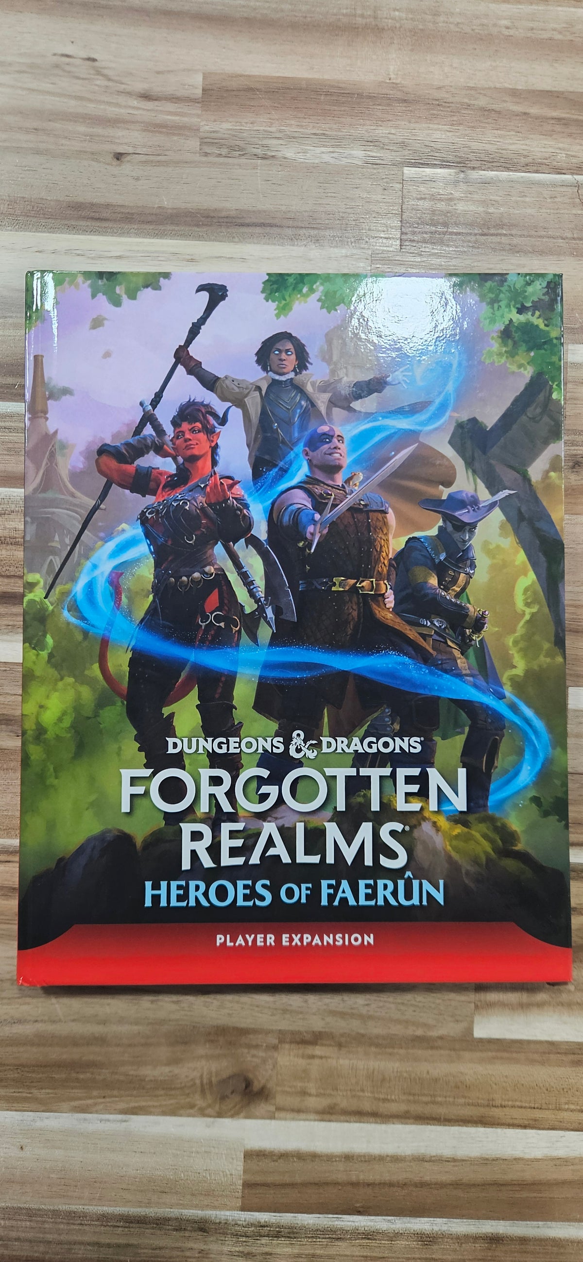 D&D Forgotten Realms Heroes of Faerun