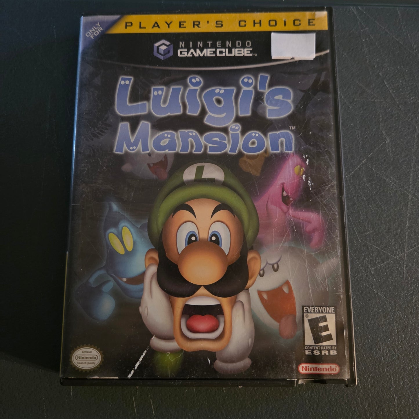 Luigi's Mansion Player's choice