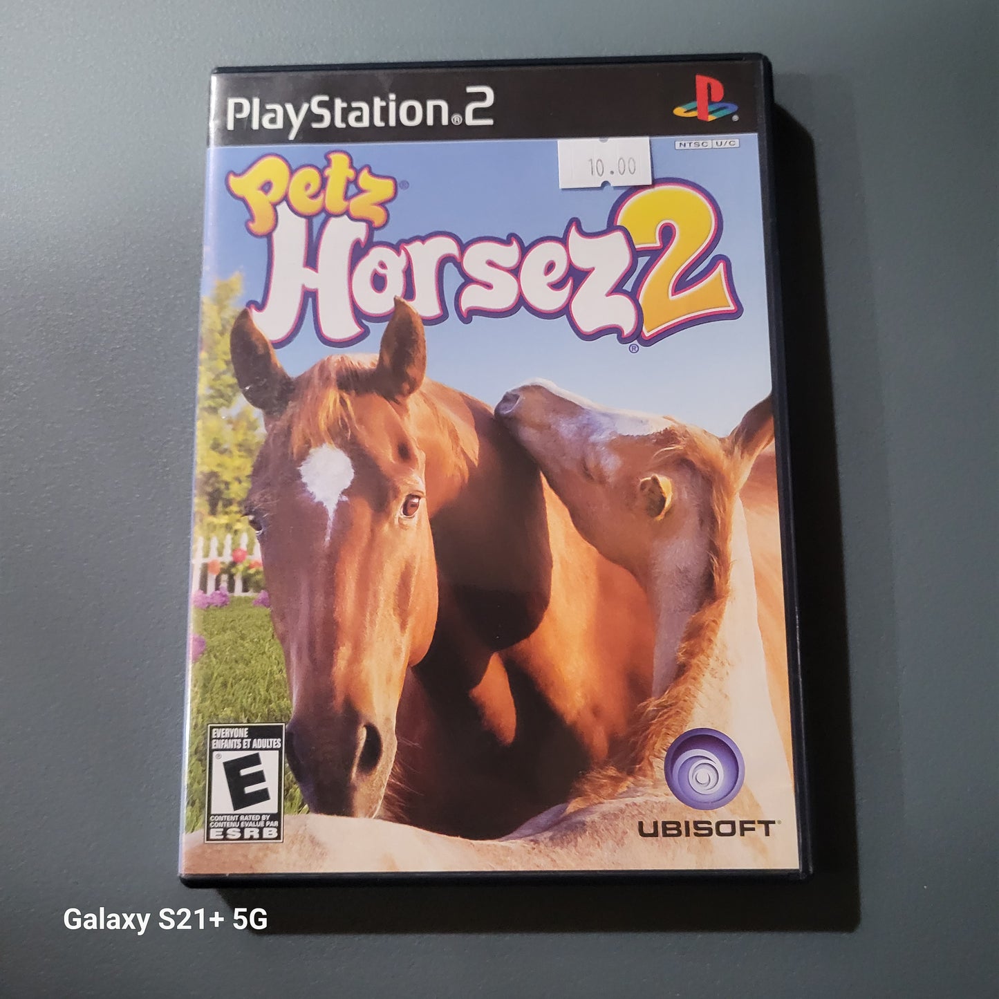 Petz Horsez2