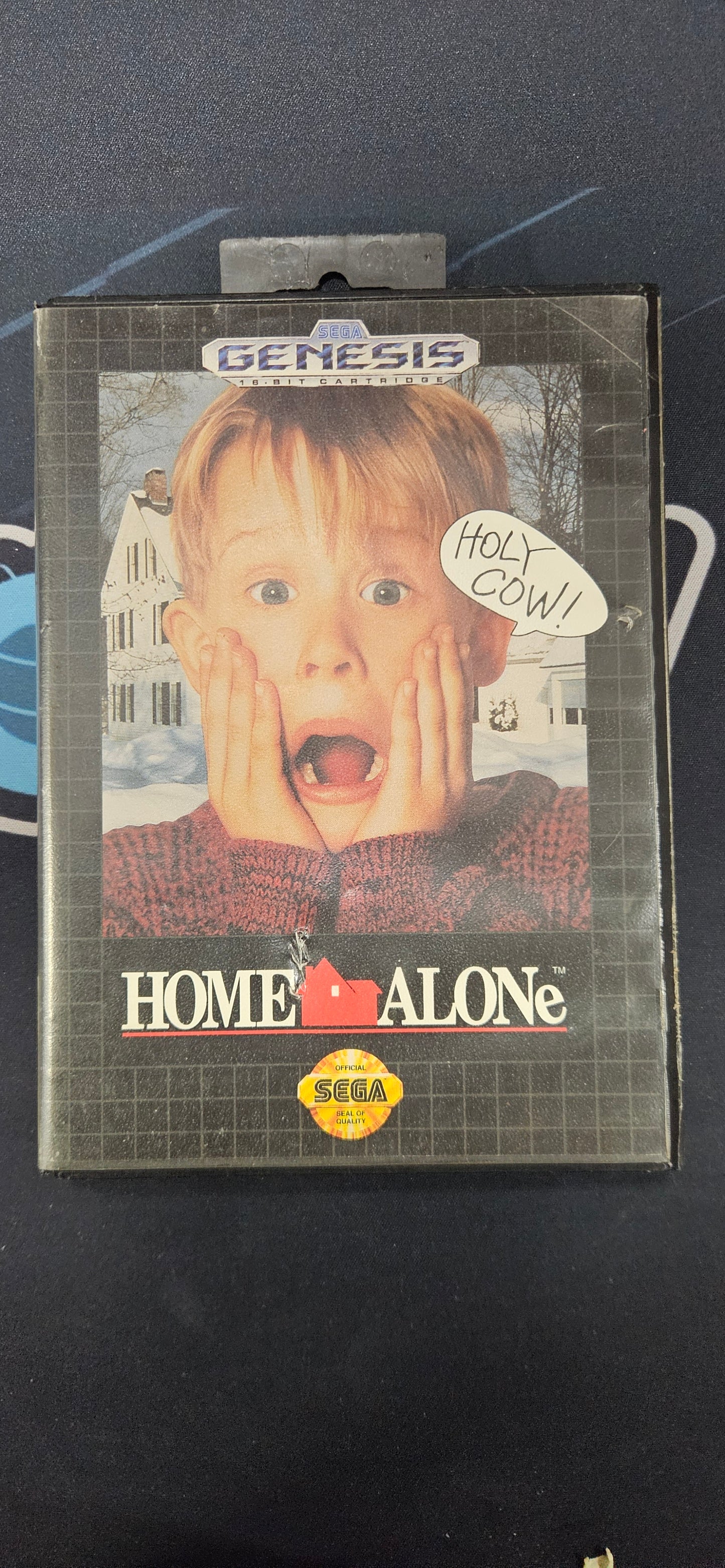 Home Alone Genesis