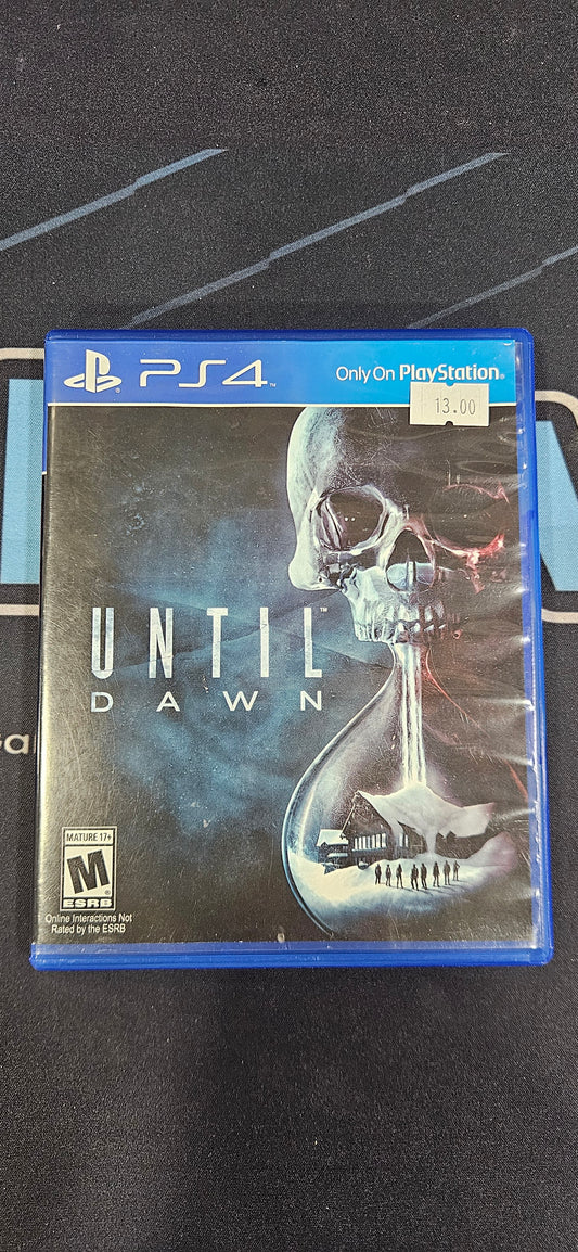 Until Dawn
