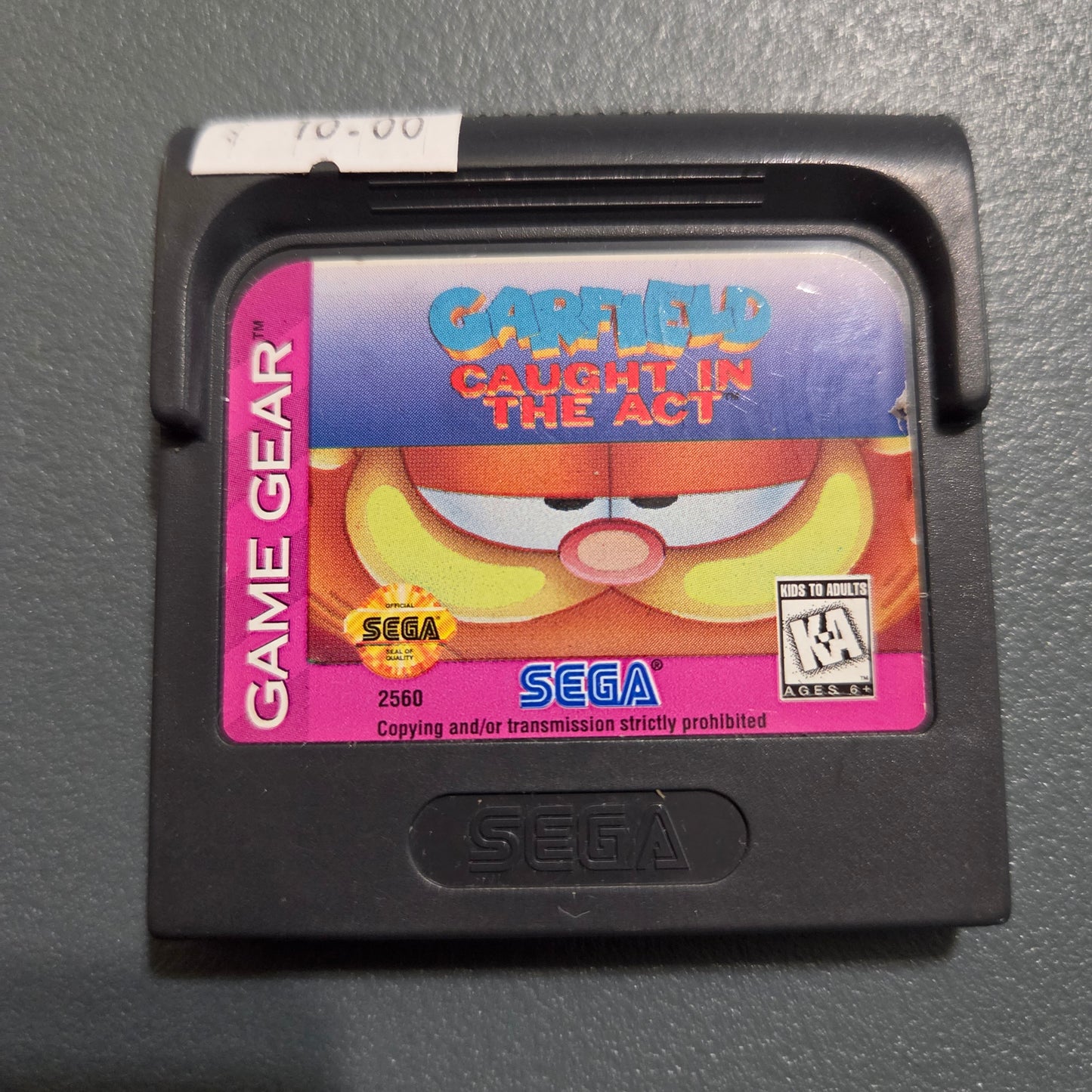 Garfield caught in the act Game Gear