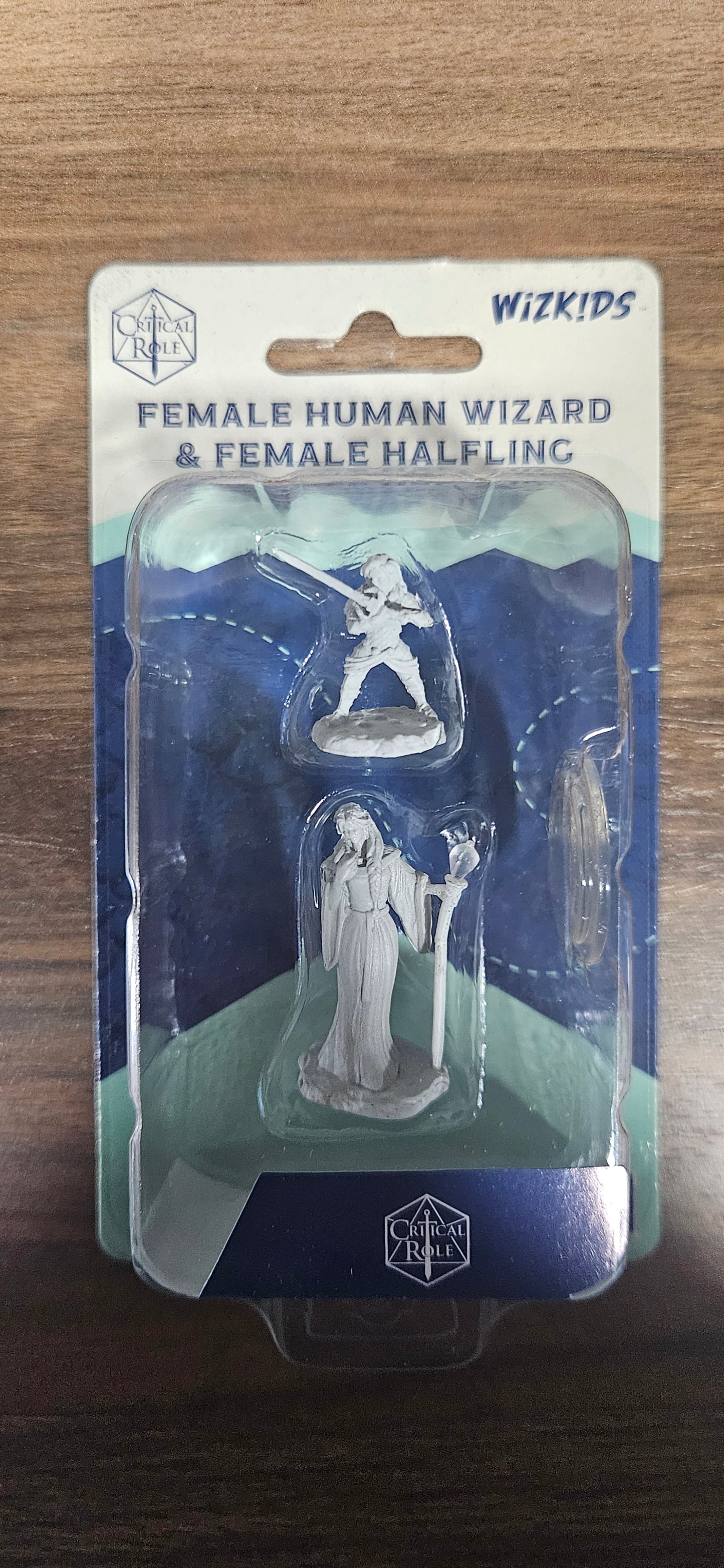 D&D Female Human Wizard & Female Halfling Holy Warrior Mini